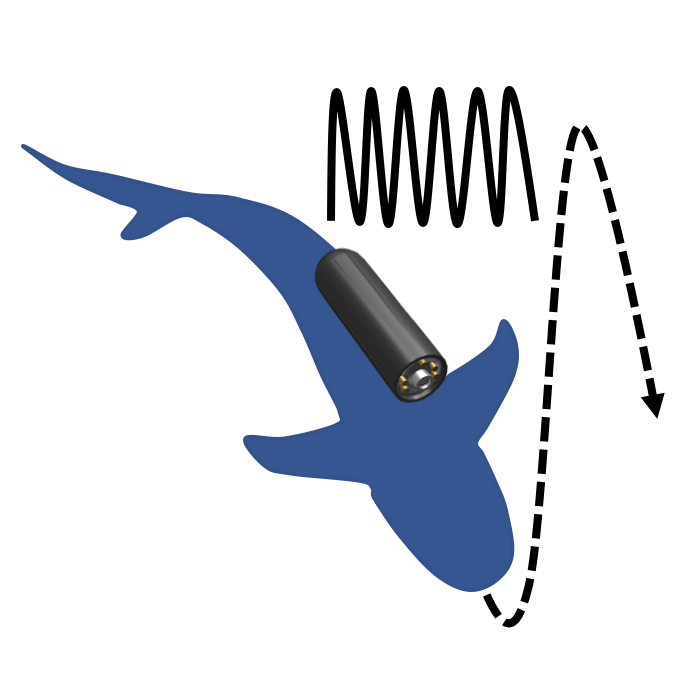 Analysis System
