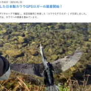 栃木県Digitak Hub